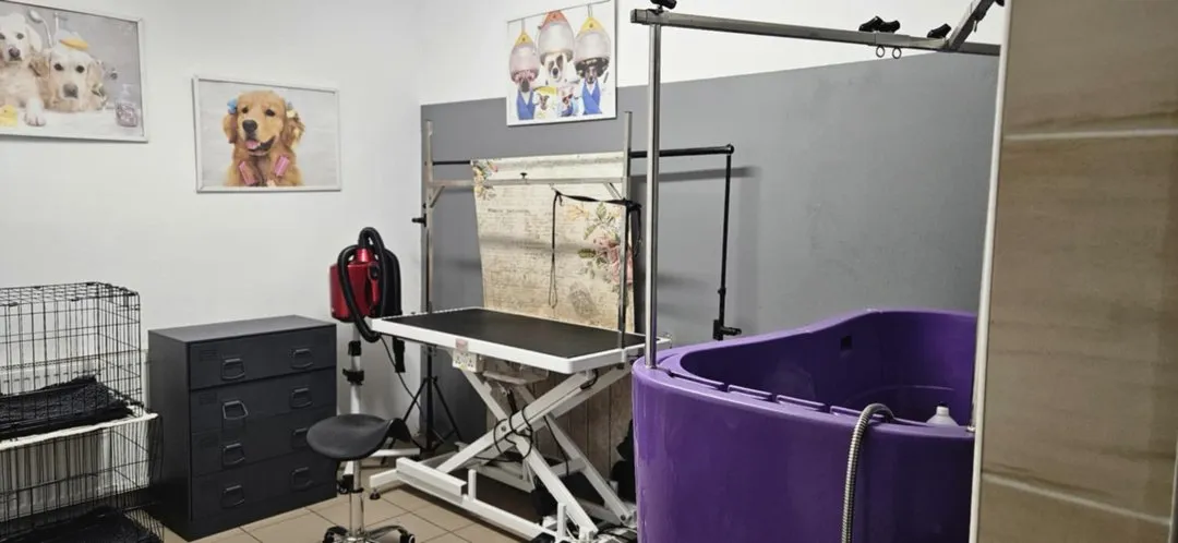 salon groomerski w Żyrardowie